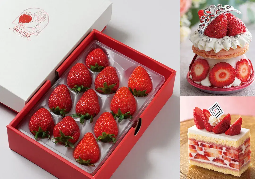化粧箱に詰められた生イチゴとホテル特製ケーキ